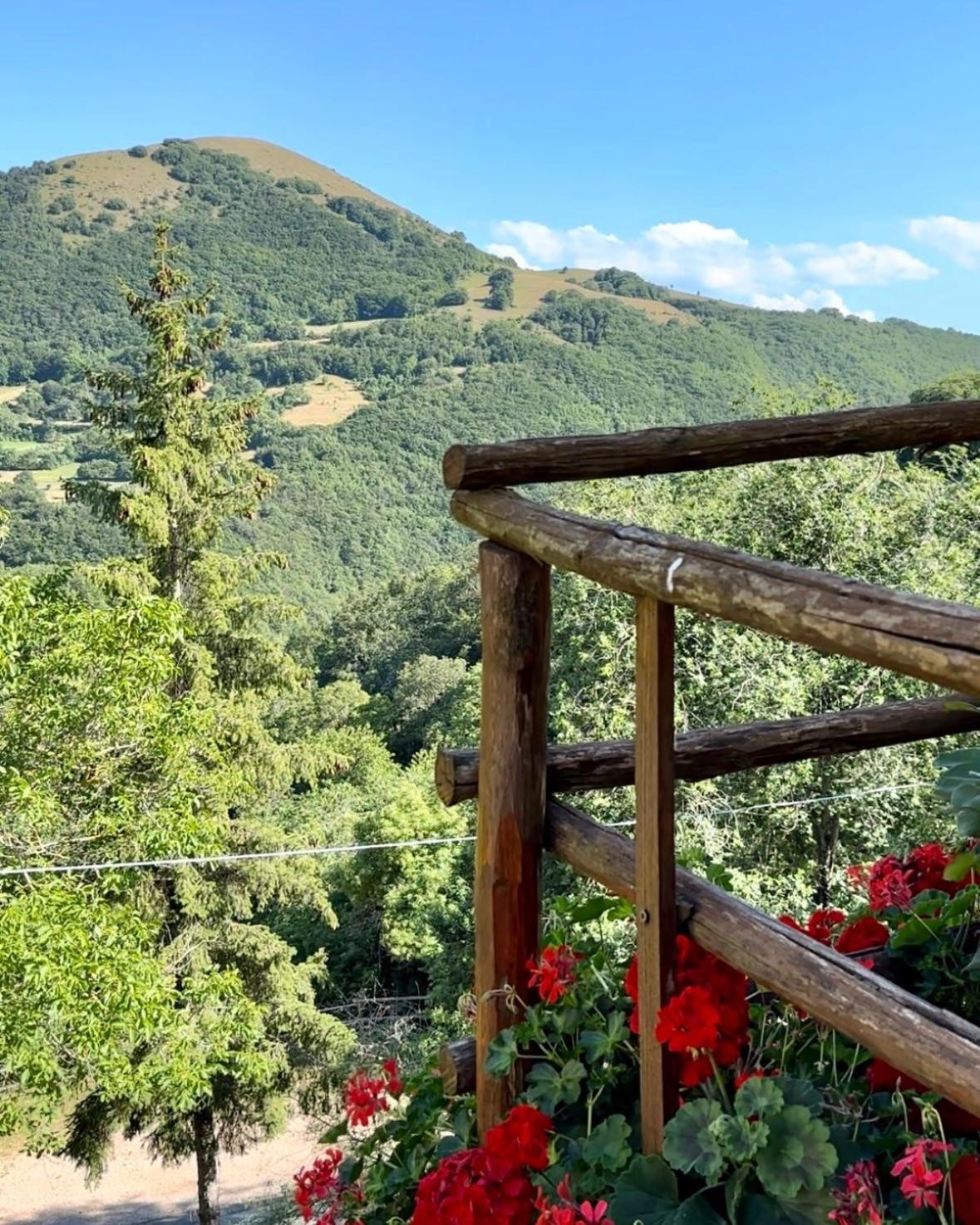 Agriturismo Pettino Campello sul Clitunno Eksteriør billede