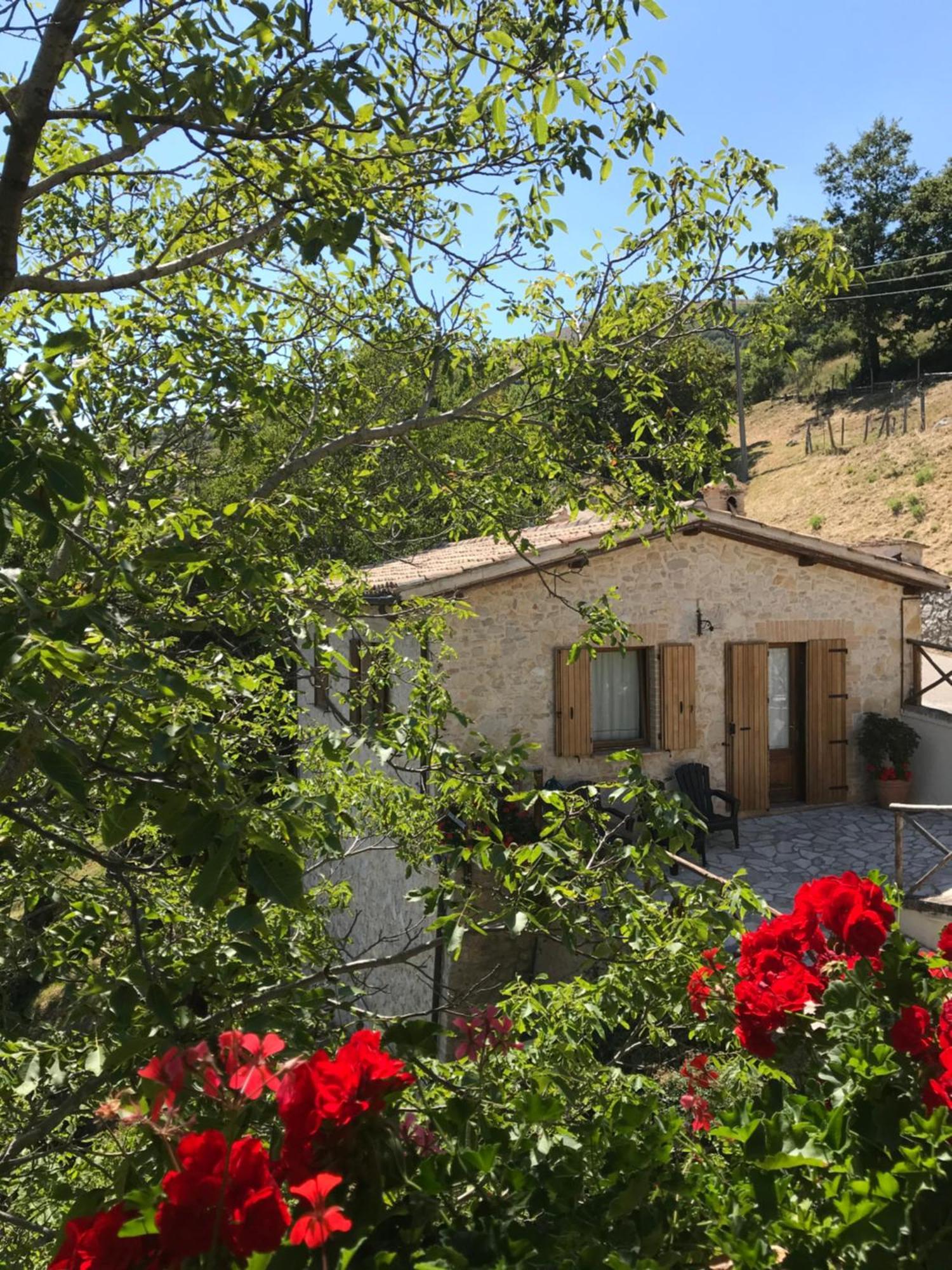 Agriturismo Pettino Campello sul Clitunno Eksteriør billede
