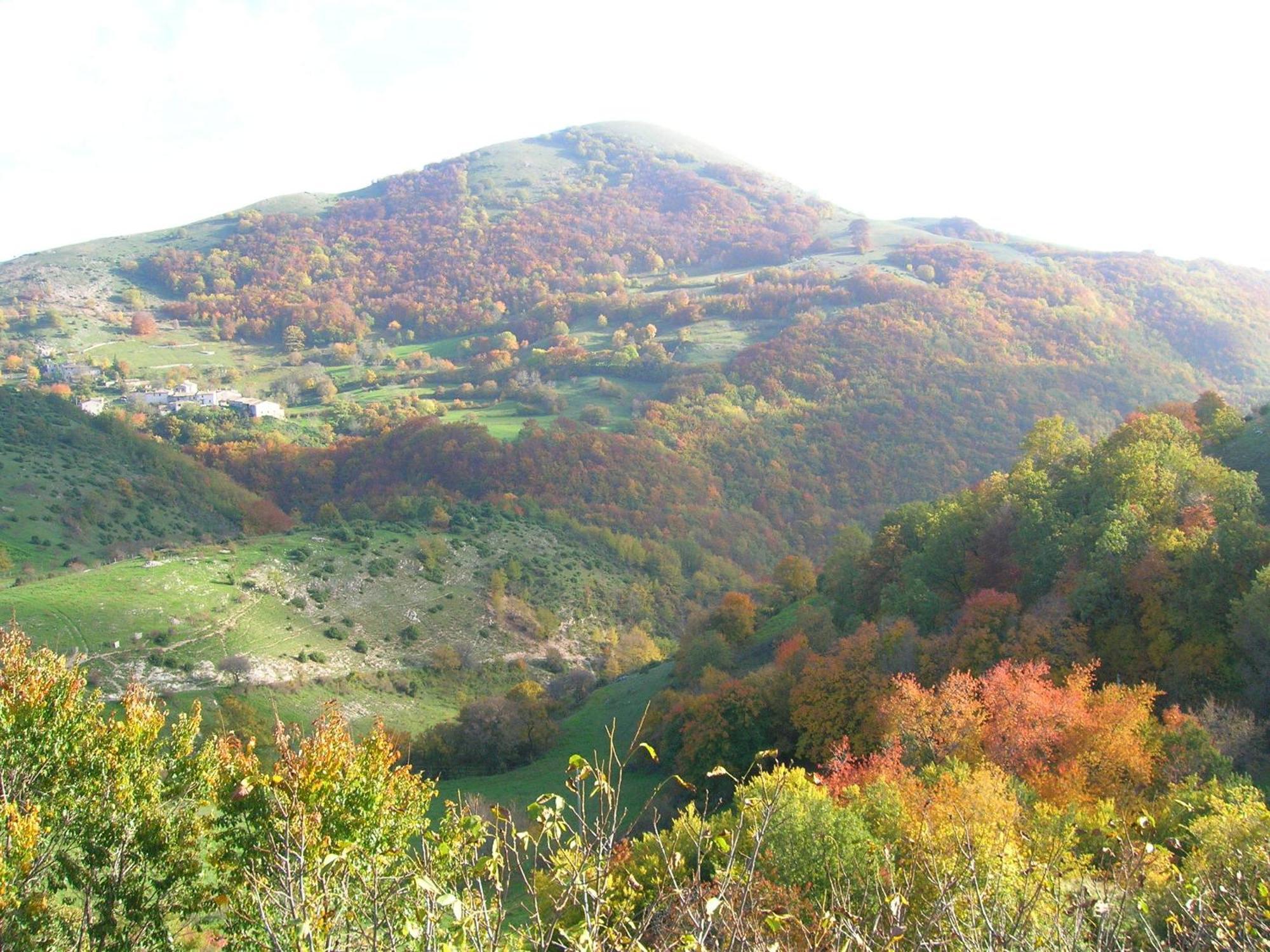 Agriturismo Pettino Campello sul Clitunno Eksteriør billede